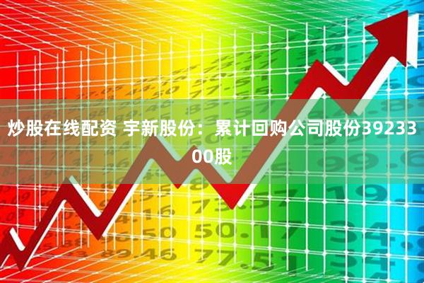 炒股在线配资 宇新股份：累计回购公司股份3923300股