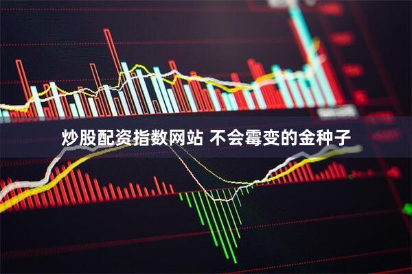炒股配资指数网站 不会霉变的金种子